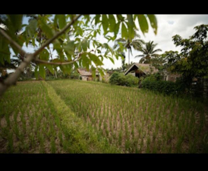 Citra Homestay 테테바투 외부 사진