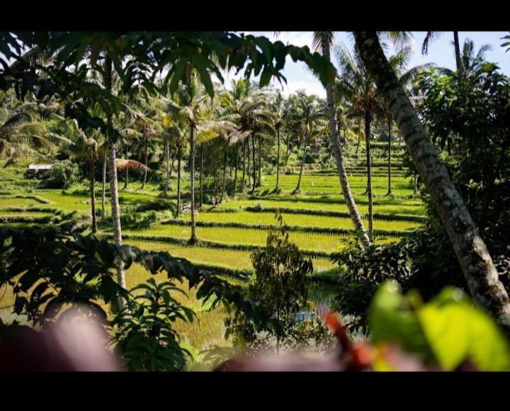 Citra Homestay 테테바투 외부 사진